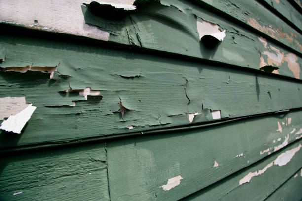 Best Siding Removal and Disposal  in Kittredge, CO