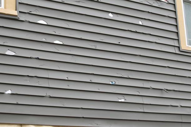 Historical Building Siding Restoration in Kittredge, CO