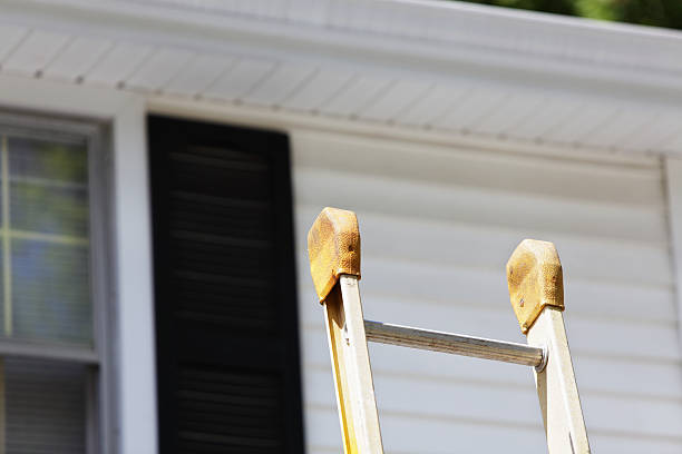 Best Custom Trim and Detailing for Siding  in Kittredge, CO